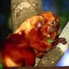 5c8ac79a2300003000e72825