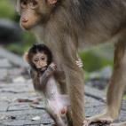 5c8ac79b230000040123b0fe