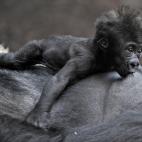 5c8ac79b2500001304c9a1ca