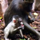 5c8ac79c3b000002076c8ee7