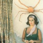 5c8a6e94360000a61b6b7862