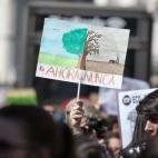 5c8f10792300005400e869c9