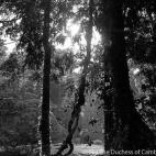 5c8b3a242300003000e7df52