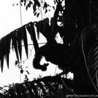 5c8b3a253b000070066d43f5