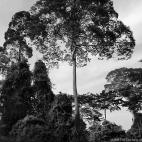 5c8b3a253b000002076d43f7