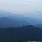 5c8b3a2522000033001a95b9