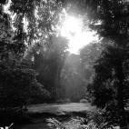 5c8b3a262400006b054d27db