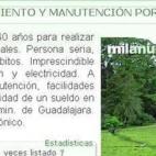 "A cambio de alojamiento y manutención (...) y posible sueldo en el futuro"