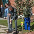 Tener hijos, escribir un libro... y plantar un árbol