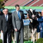 Tengo una vaca lechera...