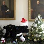 5c8a8dd52300005400e6b577