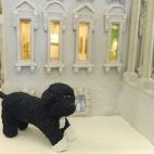 5c8a8dd62400006b054bfea1