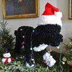 5c8a8dd9360000ba1a6b9d63