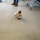 (Credit: @broniewyn/Twitter)