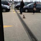 (Credit: @broniewyn/Twitter)