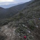 5c8ad29d2500000d04c9b675