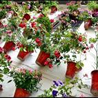 5c8ad227240000f404a3c00d