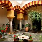 5c8ad227230000dd0423c54f