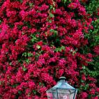 5c8ad2282300003000e73c7a