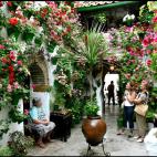 5c8ad2282300003000e73c7c