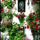 5c8ad2293b000072066ca2bf