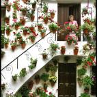 5c8ad229360000c81a6c21db