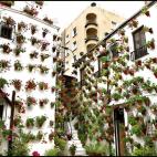 5c8ad22a360000e01c6c21dd