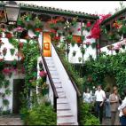 5c8ad22a3b000072066ca2c3