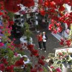 5c8ad22b230000d50423c556