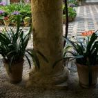 5c8ad22d360000e01c6c21e5