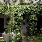 5c8ad22e2300007f0123c558