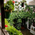 5c8ad22f2500000704c9b599