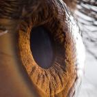 5c8a7438230000dd04231fda