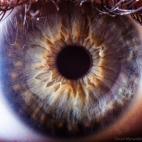 5c8a74392400006f054bdfdc