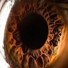 5c8a743a2000009e046f2d0e