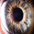 5c8a743a230000dd04231fde