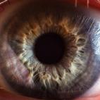 5c8a743b240000f404a319ac