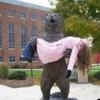 5c8ad2ba2300003000e73dac