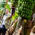 Pablo Casado contemplando pl&aacute;tanos.