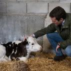 Ni una campa&ntilde;a sin la foto con una vaca. O vaquita.