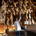 Durante el proceso de secado, los jamones son examinados frecuentemente para comprobar c&oacute;mo evolucionan.