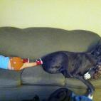 5c8a4b0e20000043046ef7f7