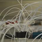 Jorge Luis Martínez Torrecuadrada, What a messy day! (¡Qué día más caótico!).