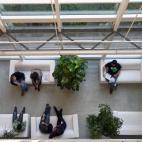 Miriam Rubio, The white spot (El punto blanco).