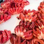 Pulpo en aceite de oliva (Conserva). Procedencia: España.