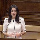 Reconoce que su mayor defecto es la timidez.