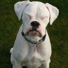 5c8ad4fe360000ba1a6c274a