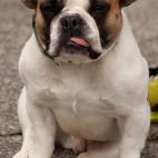 5c8ad4fe24000093024c898d