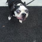 5c8ad4ff3b000002076ca826