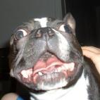 5c8ad5002300003000e741fb